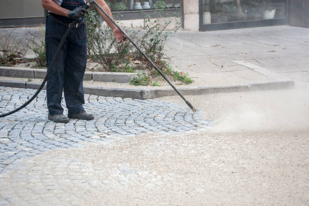 Best Pool Deck Cleaning  in West Bishop, CA
