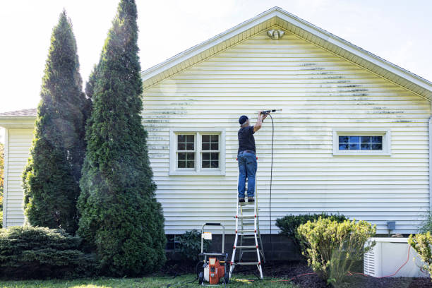 Best Gutter Cleaning  in West Bishop, CA